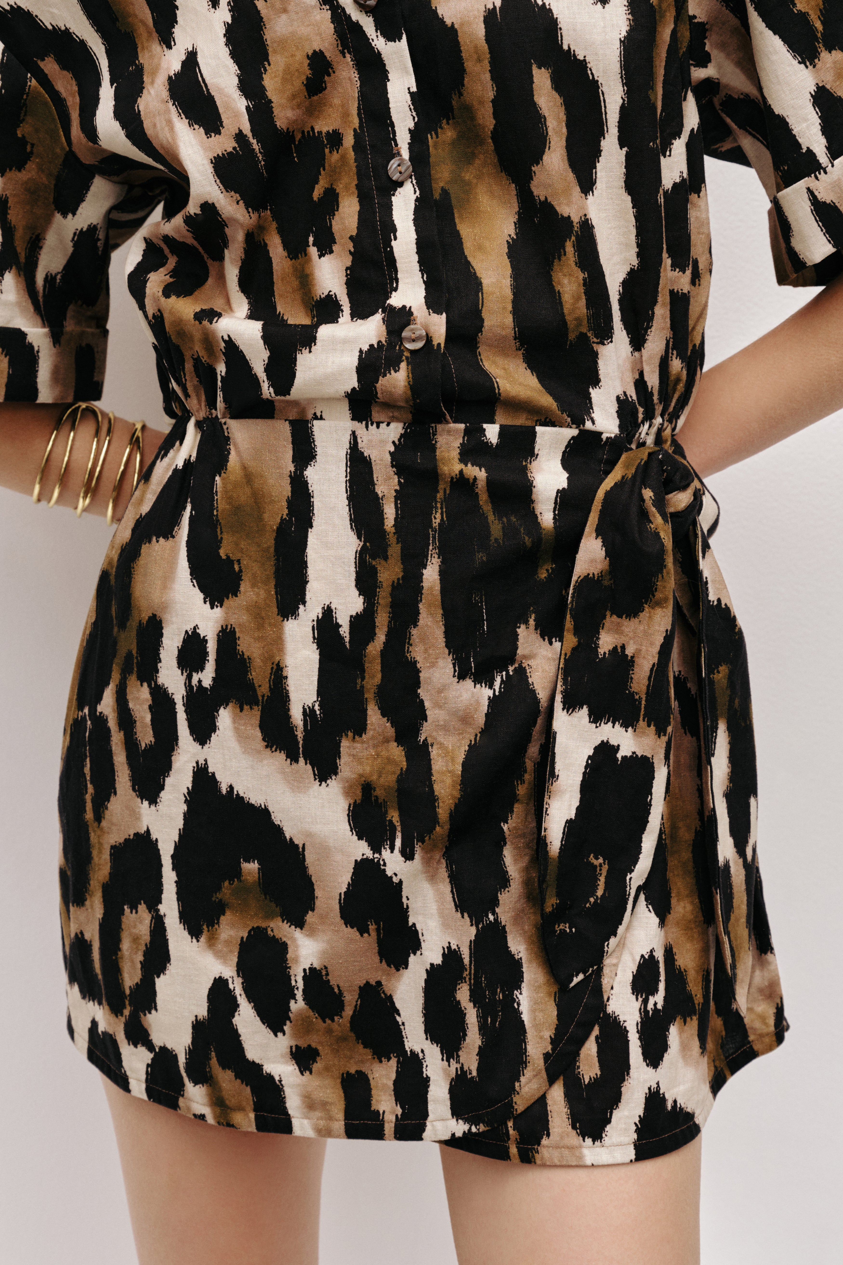 252AS5017_Animal_5_1756892802