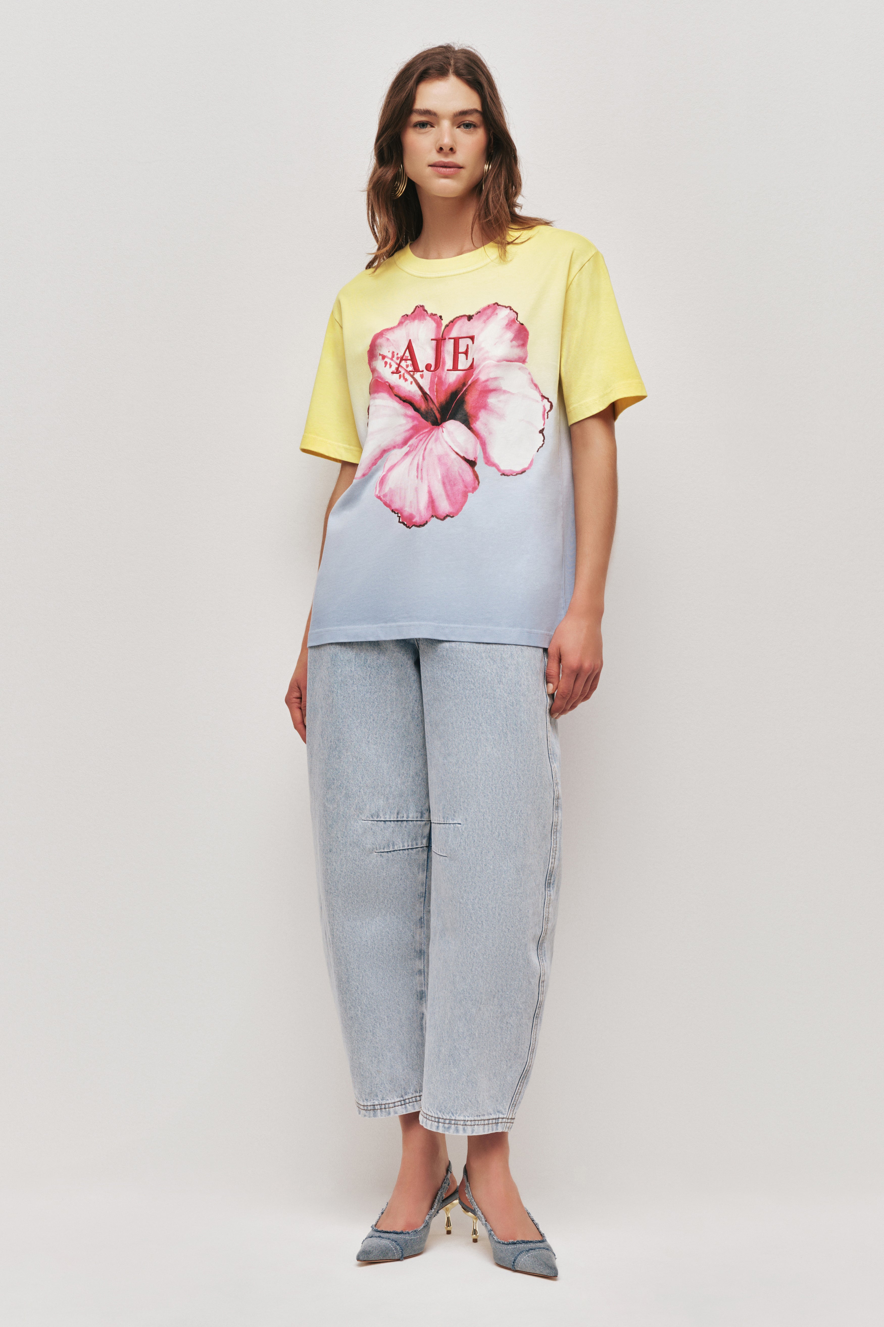 26RE1203_OMB-HIBSC_1_1761519861