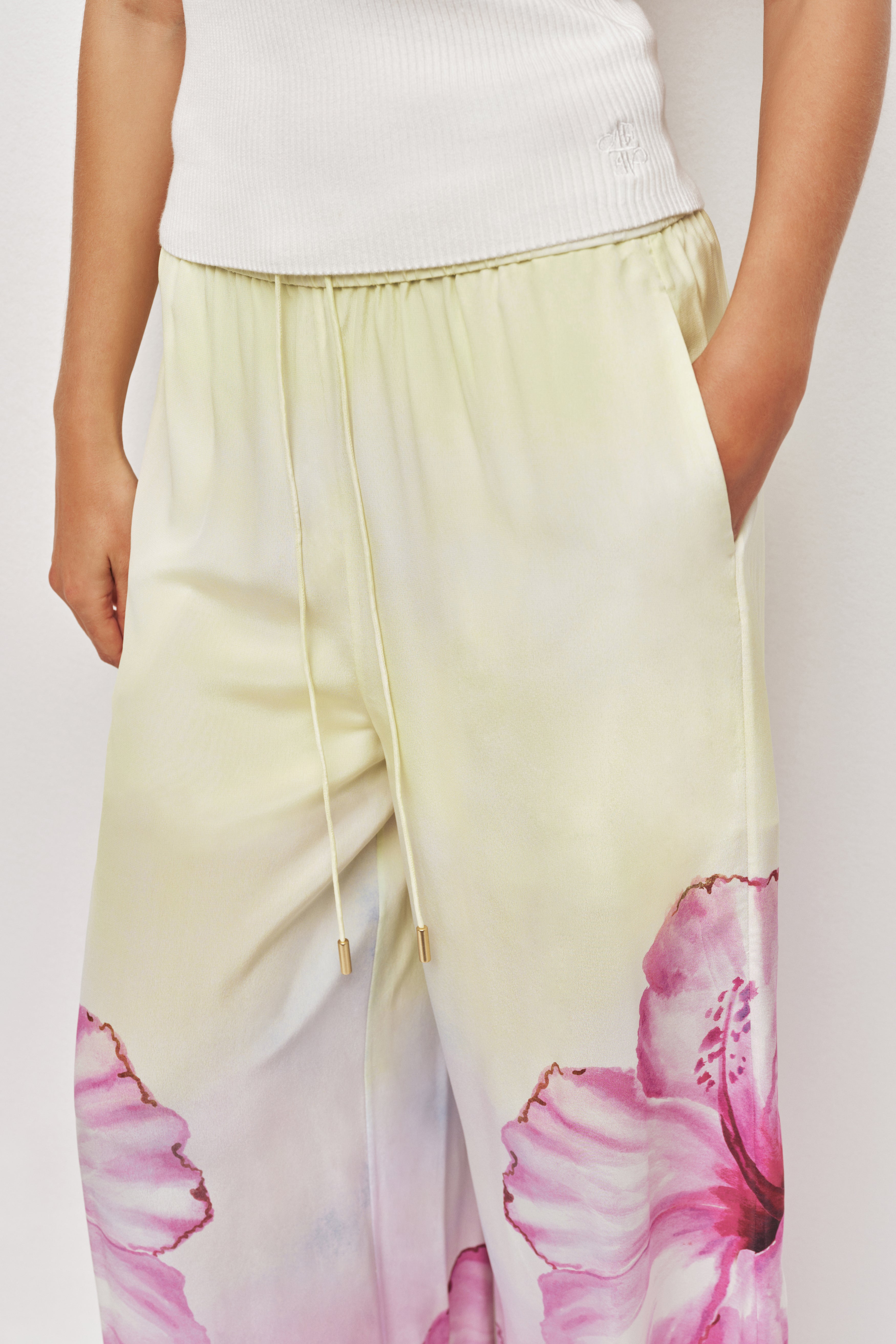 26RE3126_OMB-HIBSC_4_1761514992