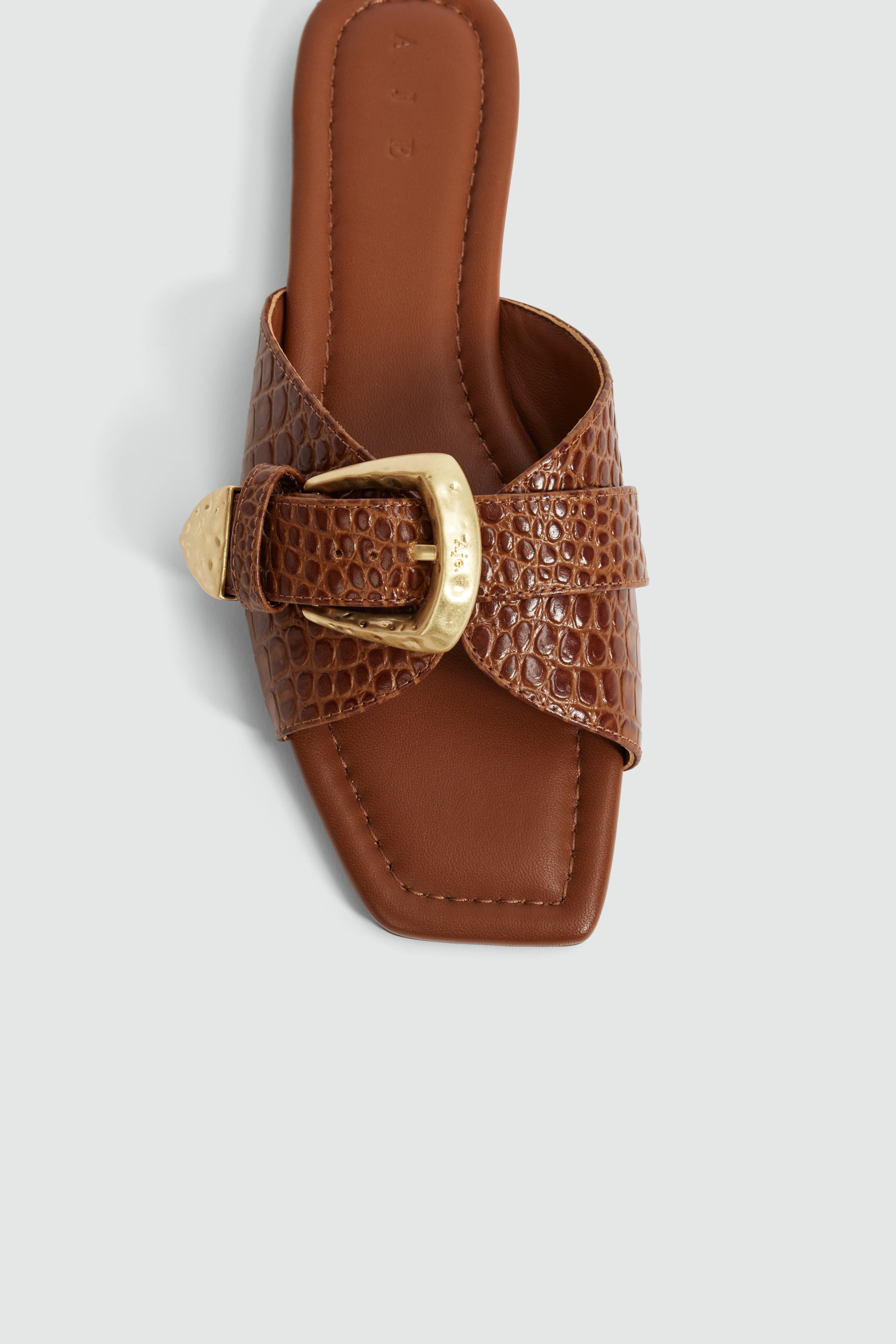 26SS7148_AMBR-CROC_5_1784681737