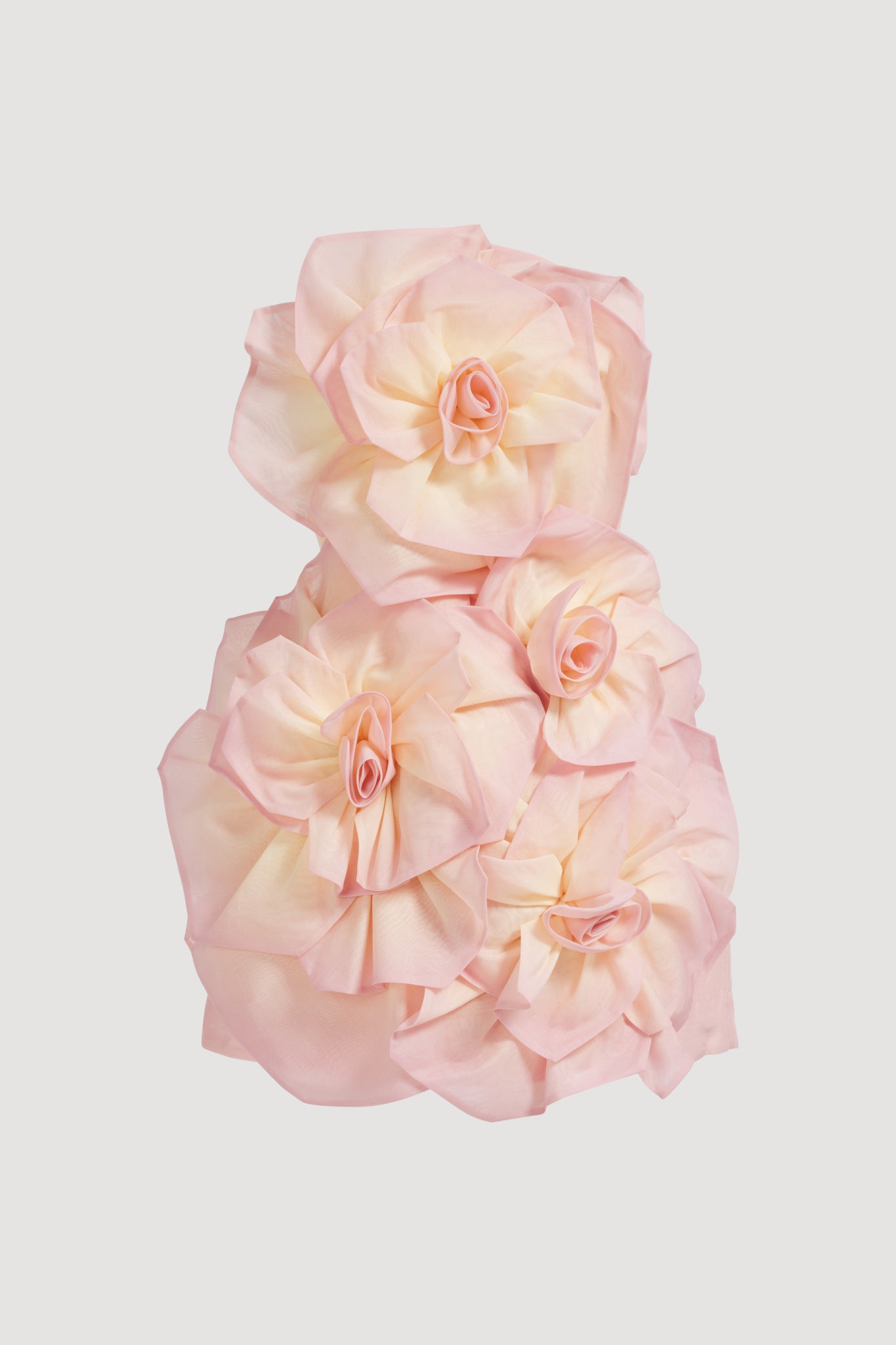 26SU5198_AURORA_2_1772083037