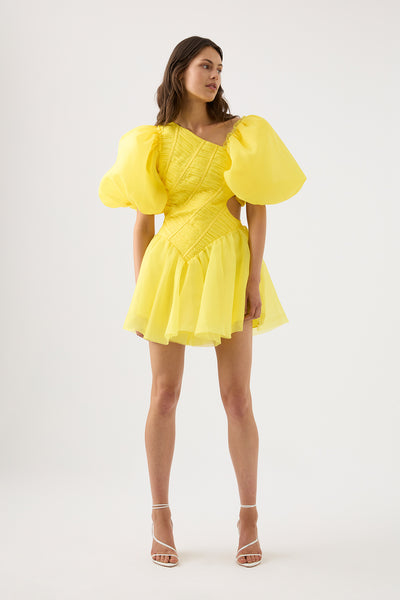 Dawn Ruched Mini Dress | Sunflower Yellow
