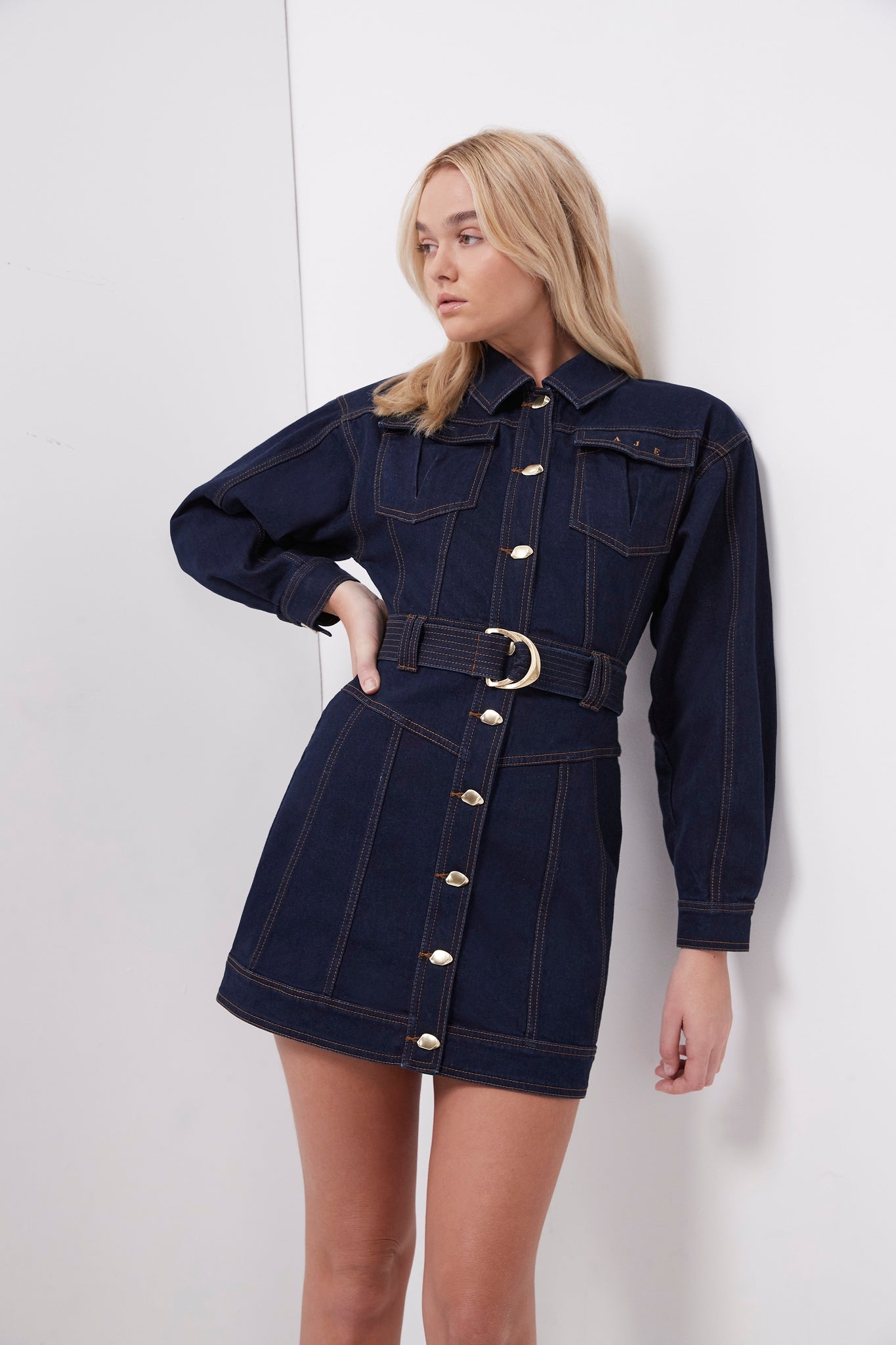 Philia Belted Denim Dress