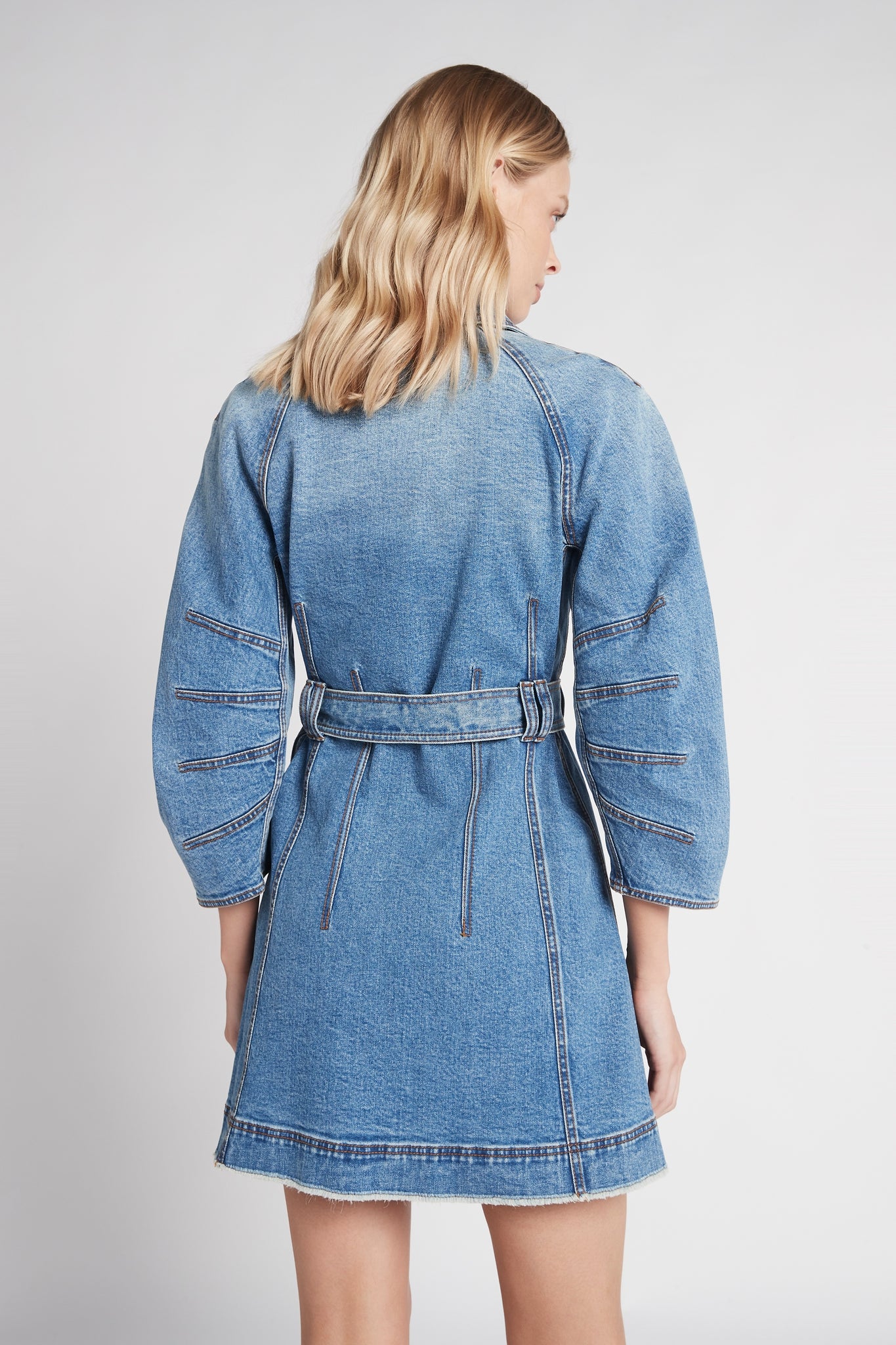 Maya Denim Long Sleeve Dress